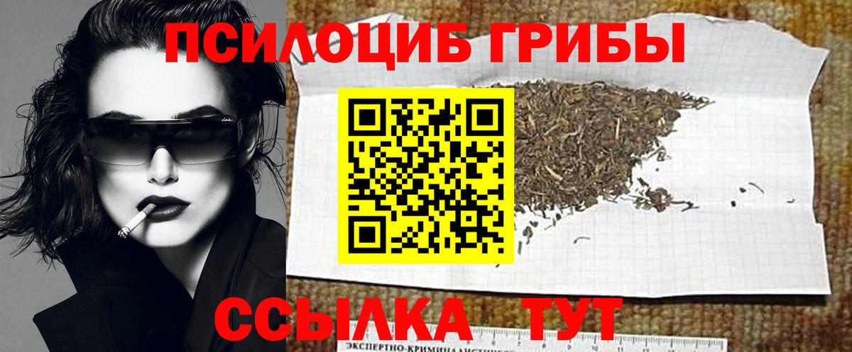 Псилоцибиновые грибы Psilocybe  Вход с VPN  Зеленокумск 